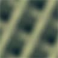 Gimp Desktop Pattern - 54
