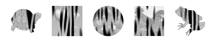Inkscape Zebra Filter Clipart and Photos