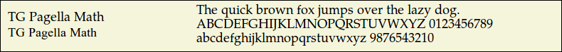 Picture Preview of The Font TGPagellaMath 