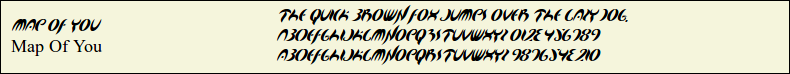 Picture Preview of The Font Map Of You 