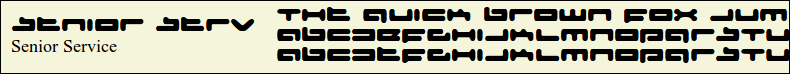 Picture Preview of The Font Senior Service 